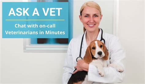 Ask vet. Things To Know About Ask vet. 
